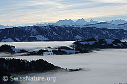 F081861: Nebelstimmung: Nebelmeer über dem Emmental