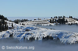 F081960: Emmentaler Hügelzüge an der Nebelgrenze