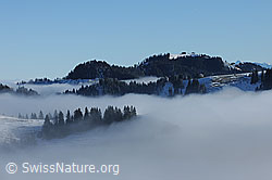 F081986: Nebelstimmung am Napf im Emmental