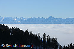 F081988: Umfassendes Nebelmeer mit Stockhornkette im Hintergrund