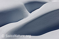 F083253: Schatten und Formen in der Natur