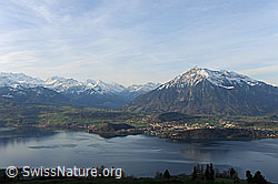F083560: Niesen und Thunersee im Morgenlicht
