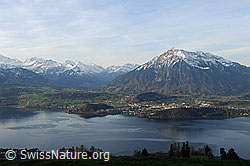 F083561: Niesen und Thunersee