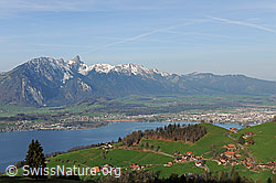 F083580: Grüne Landschaft mit Besiedlung und Ausblick über Thunersee und Thun zur Stockhornkette
