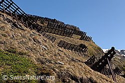 F083824: Lawinenschutzbauten an Berghang