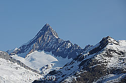 F083857: Finsteraarhorn von Alpe Fride