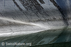 F083929: Spiegelung in Ausgleichsbecken