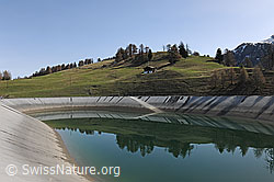 F083931: Ausgleichsbecken mit Spiegelung