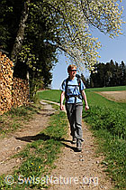 F083967: Wandern im frühlingshaften Emmental