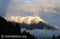 F085539: Morgenstimmung mit Wolken am Breithorn