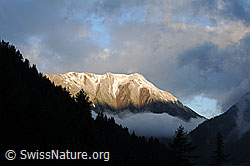 F085541: Morgenstimmung am Breithorn