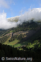 F085545: Morgenstimmung über Imfeld