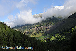 F085546: Morgenstimmung über dem Bergdorf Imfeld