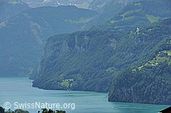 F086812: Vierwaldstättersee und Rütliwiese