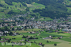F086814: Schwyz