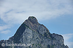 F086815: Grosser Mythen