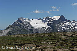 Foto: Glärnisch von WSW