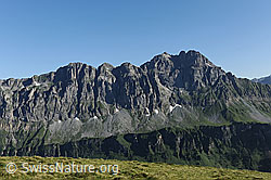 F086911: Schijen und Ortstock