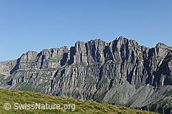 F086912: Rot Nossen, Signalstock und Jegerstöck