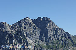 F086935: Ortstock, Glarner Alpen