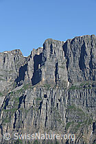 F086939: Signalstock