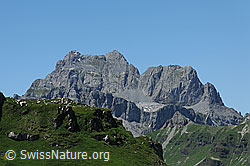 F086965: Schächentaler Windgällen