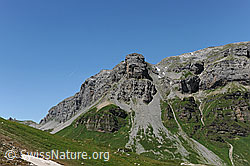 F086968: Märcher Stöckli