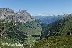 F086972: Ortstock und Urnerboden