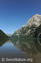 F087062: Klöntalersee und Ruchen (Glärnisch)