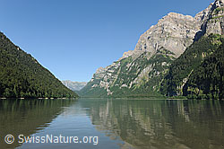 F087067: Klöntalersee und Ruchen (Glärnisch) mit Spiegelung