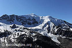 F087170: Weissmies und Triftgletscher von NW