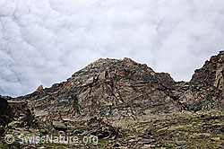 F087249: Jegihorn von Süden