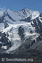 Foto: Lenzspitze, Nadelhorn und Hohbalmgletscher