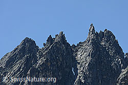 F087456: Sidelengrat