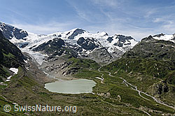 F087570: Sustengebiet mit Steingletscher und Steinsee