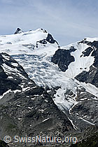 F087581: Vorder Tierbeg und Steinlimigletscher