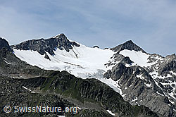 Foto: Gigilistock und Taleggligletscher