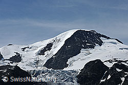 F087587: Gwächtenhorn und Steingletscher