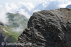 F087710: Schichtungen am Gipfel der Chilchflue