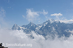 F087756: Wolkenstimmung um Dreigestirn Eiger, Mönch und Jungfrau