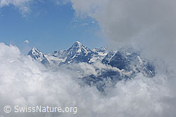 F087792: Stimmungsbild: Wolkenmeer in den Alpen