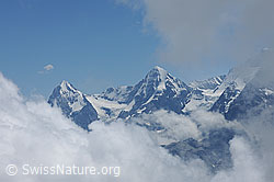 F087793: Wolkenstimmung um Eiger und Mönch