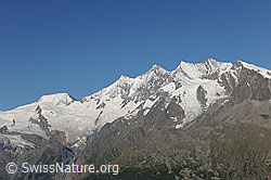 F088512: Alphubel und Mischabel