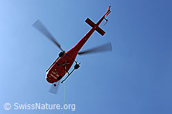 F088759: Schwebender Helikopter