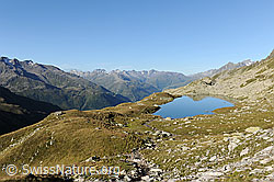 F089331: Lutersee umgeben von Alpweiden