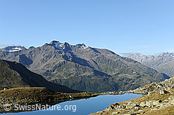 F089336: Lutersee und Gemsstock