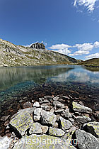 F089460: Am Ufer des Lutersee