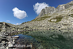 F089464: Lutersee und Gross Schijen mit Quellwolke