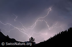 F089572: Blitze am Abendhimmel