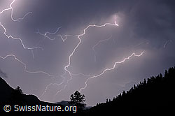 F089573: Gewitter mit zahlreichen Blitzen